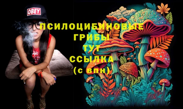 амф Алексин