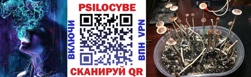 Галлюциногенные грибы Cubensis  Купить где  Свободный 